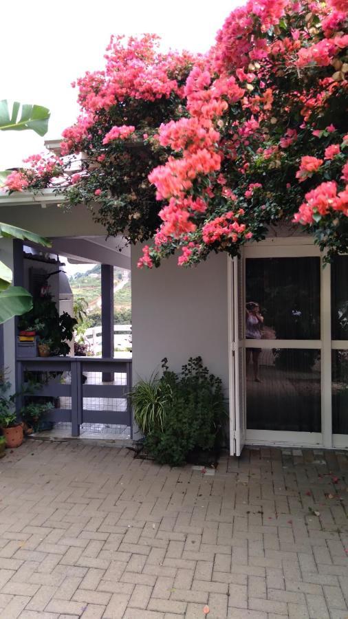 Casa Deni Villa Nova Petropolis Eksteriør billede